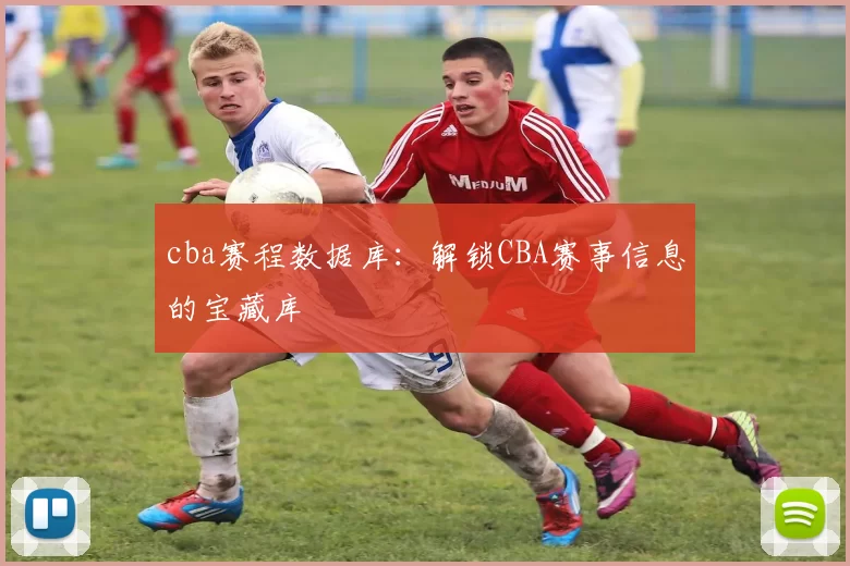 cba赛程数据库:解锁CBA赛事信息的宝藏库