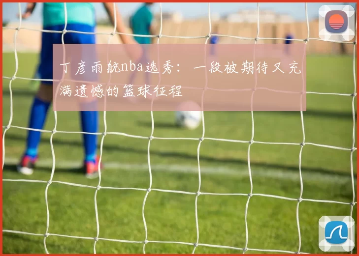 丁彦雨航nba选秀：一段被期待又充满遗憾的篮球征程